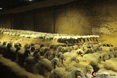 Terracotta Animals as Grave Goods in Hanyangling Museum 