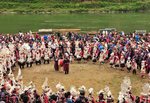 Sister Meal's Festival