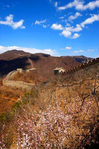 great wall in spring