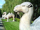 Sacred Way of Ming Tombs