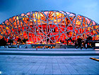 Bird's Nest