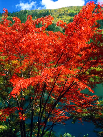 Jiuzhaigou