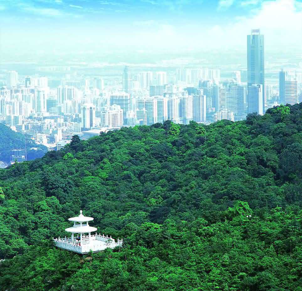 Green Trees on Baiyun Mountain