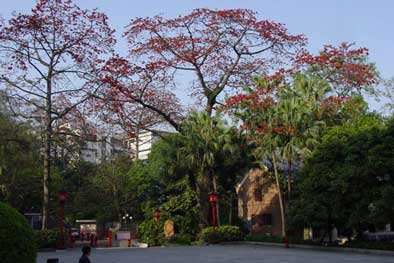 Sun Yat-sen Memorial Hall