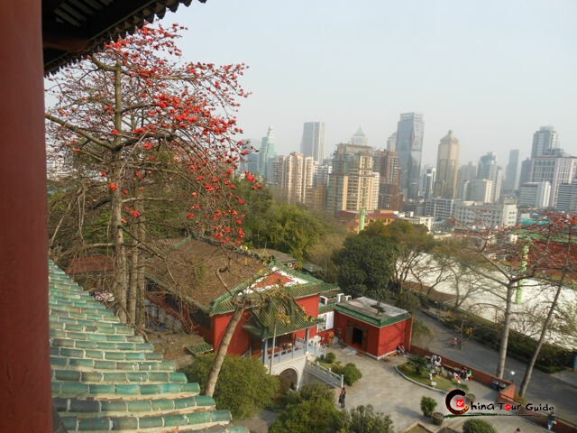 yuexiu park