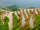 Longji Rice Terrace