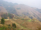 Ping’an rice terraces