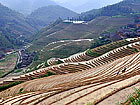 Longji Rice Terraces