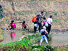 Ping'an Rice Terraces