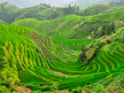 Longji rice terraces
