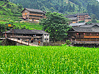 Dazhai