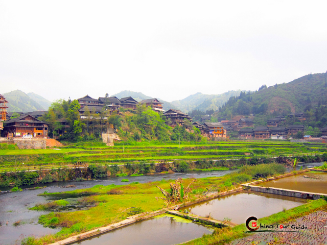 guizhou village fields