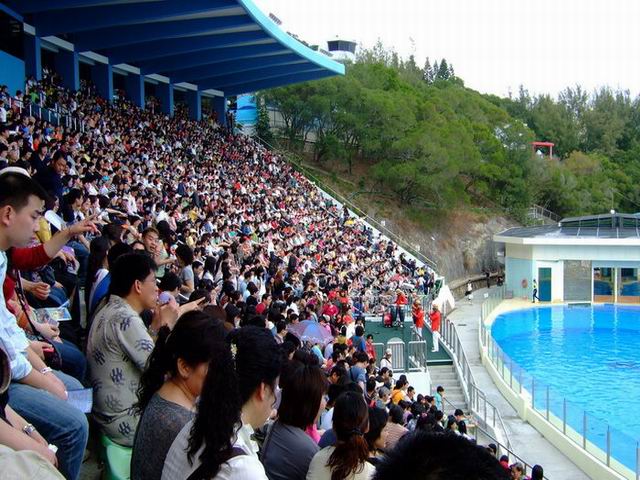 Enjoy Shows at Ocean Theatre