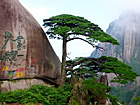 Mt. Huangshan