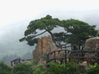 Mt. Huangshan