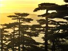 Mt. Huangshan