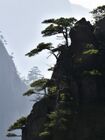 Mt. Huangshan