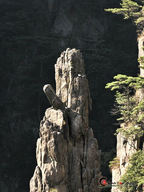 Weild Rock on Huangshan