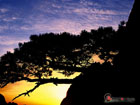 Huangshan Sunset