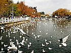 Passing Kunming Green Lake Park by