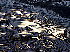 Tiger Mouth Pass Rice Terrace Area