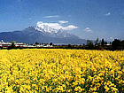 Lijiang snow mountain