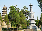 Shaolin Temple Pagoda Forest