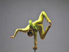 Shanghai Acrobatic Show