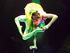 Shanghai Acrobats Show