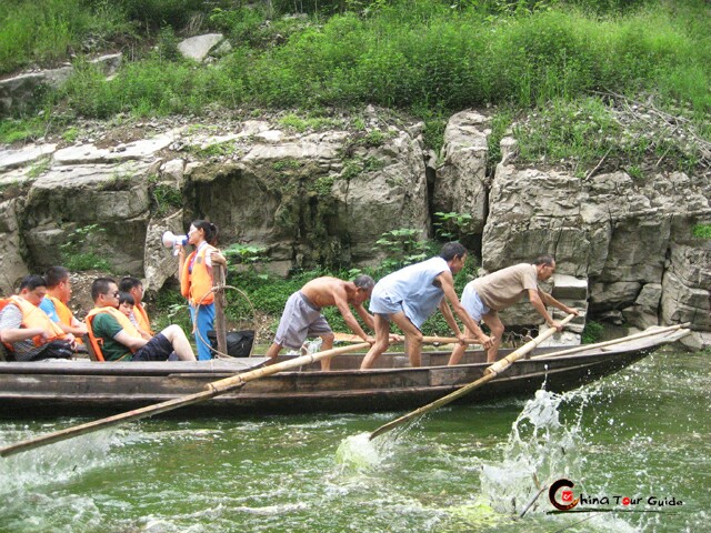 Shennong Stream 