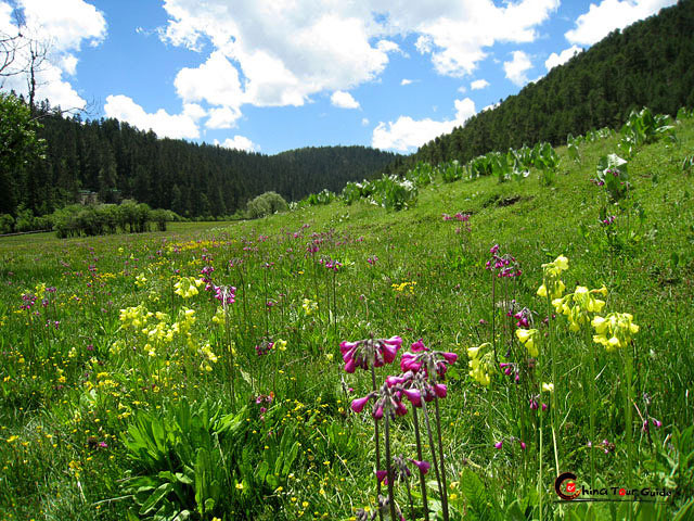 Bitahai Lake