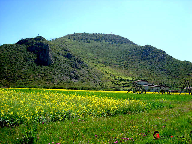 Napahai Lake