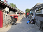 Hutong Local Kids