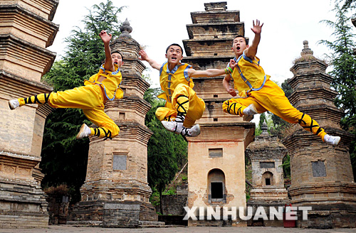 shaolin kung fu. Shaolin Kung Fu