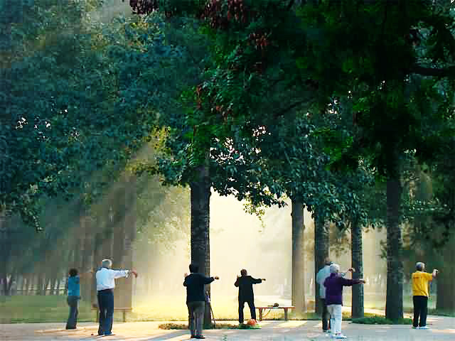 Tai Chi Morning Workout