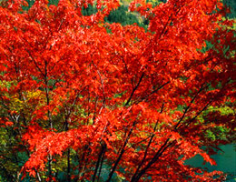 Jiuzhaigou Valley