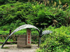 Wuyishan Dahongpao Tourist Zone