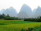 Yangshauo countryside cycling