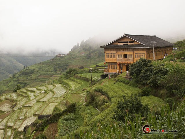 Longji Rice Terrace