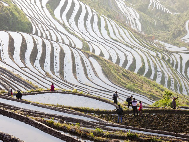 Longsheng Rice Terrace