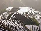 Ping’an Rice Terraces