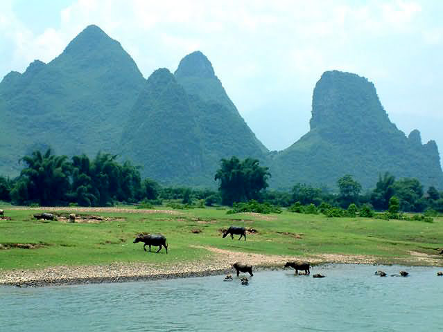 Li River 