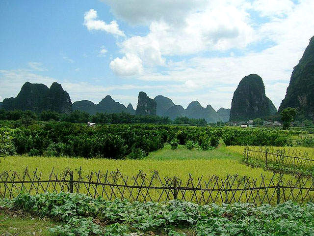 Li River 
