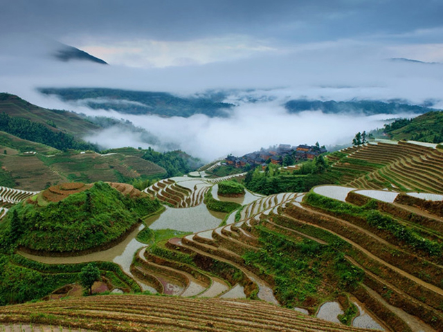 jinkeng rice terraces