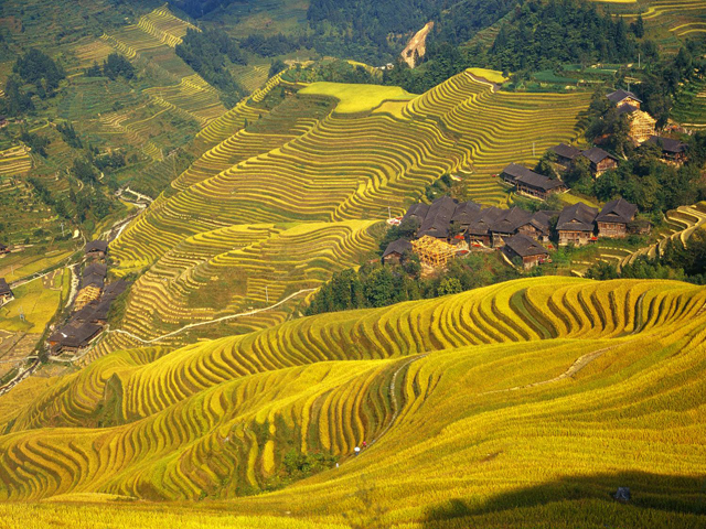 Yao Village