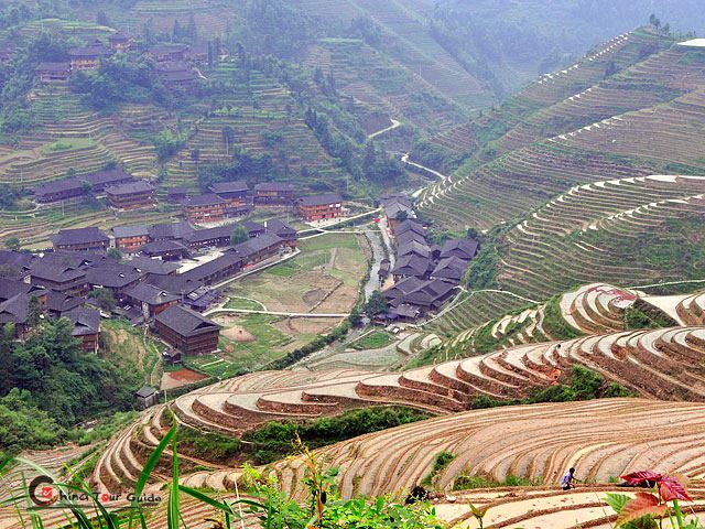 Minority villages scattered across the rice terraces