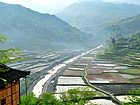 Miao village paddy fields