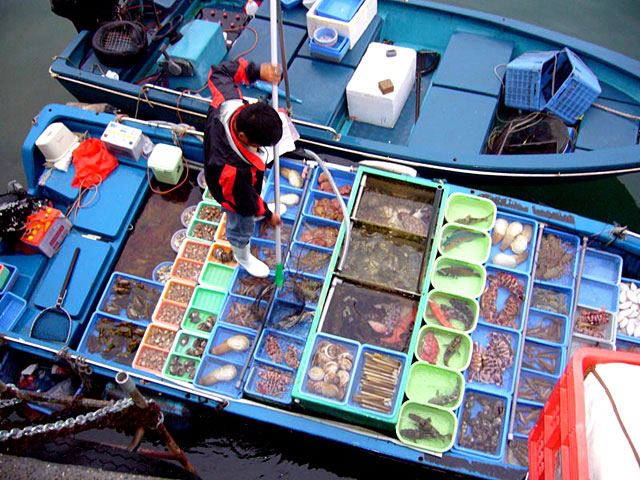 fishing boat in the port of Sai Kung