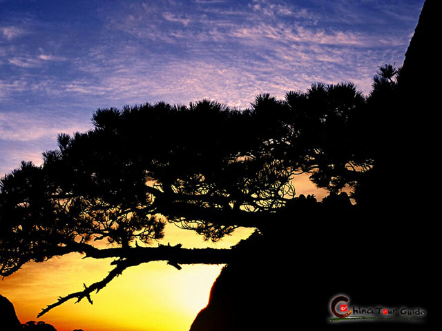 Huangshan Sunrise
