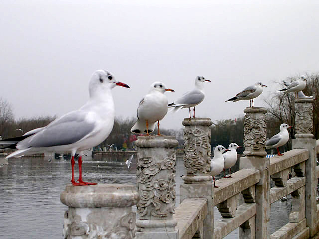 Green Lake Park 